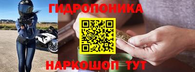 тгк Новокубанск