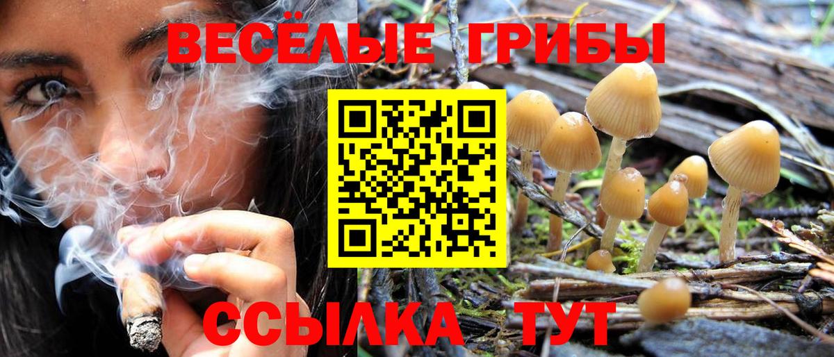 Строитель  Галлюциногенные грибы ЛСД  Вход с VPN 