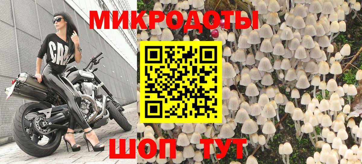 Галлюциногенные грибы прущие грибы Строитель